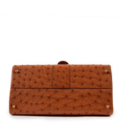 Shop authentic second hand luxury fashion designer delvaux brillant ostrich handbag at labellov