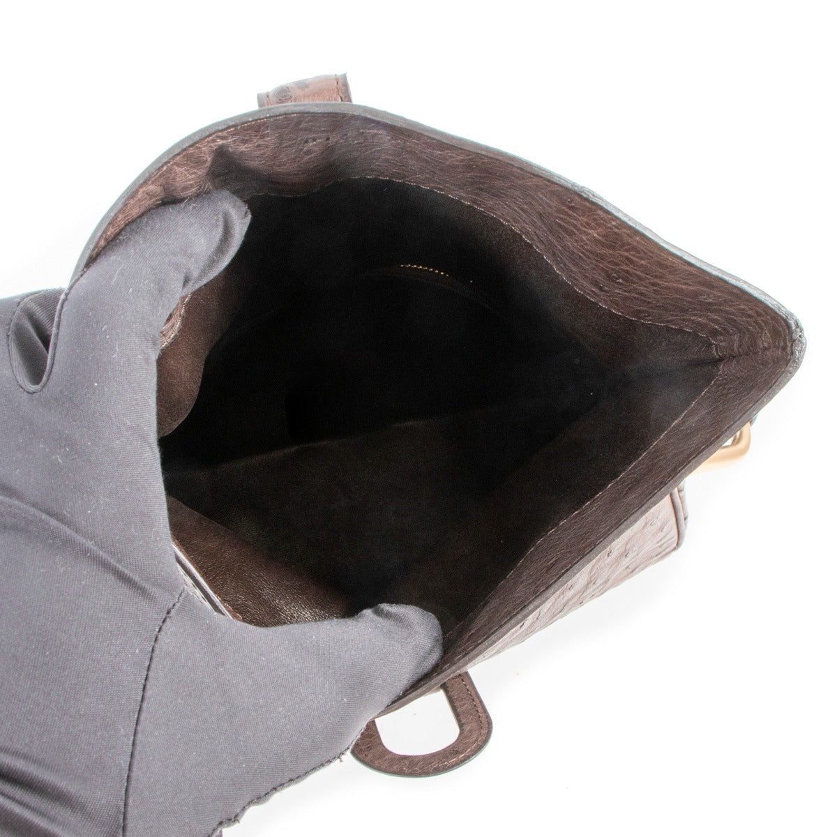 Delvaux Givry PM Ostrich Palissandre Shoulder Bag