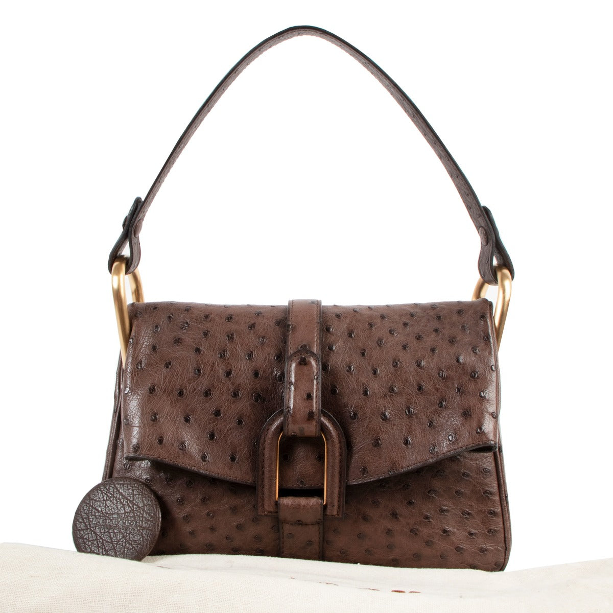 Delvaux Givry PM Ostrich Palissandre Shoulder Bag