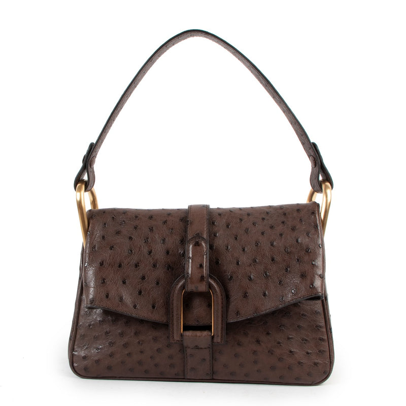 Delvaux Givry PM Ostrich Palissandre Shoulder Bag