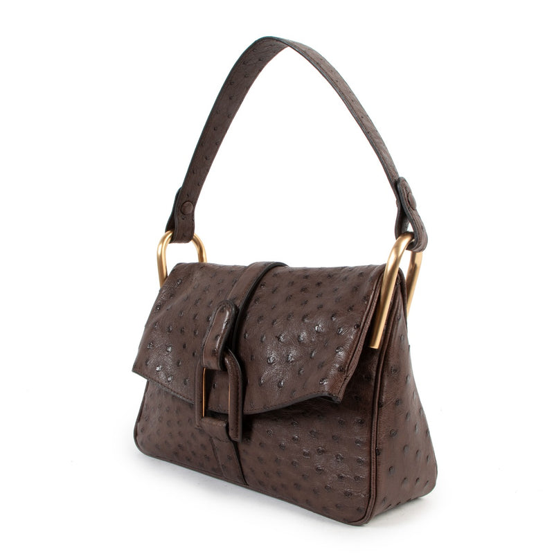Delvaux Givry PM Ostrich Palissandre Shoulder Bag