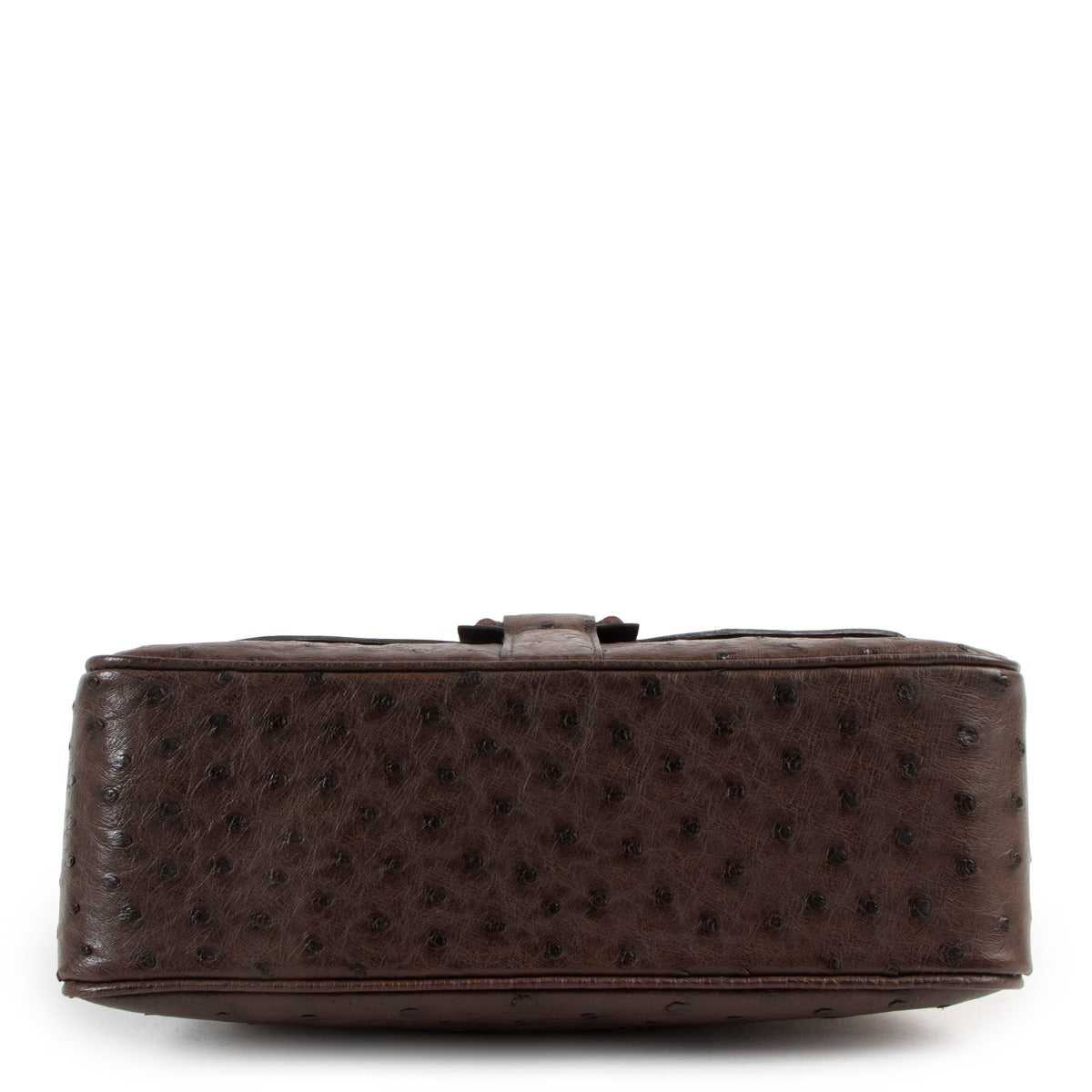 Delvaux Givry PM Ostrich Palissandre Shoulder Bag