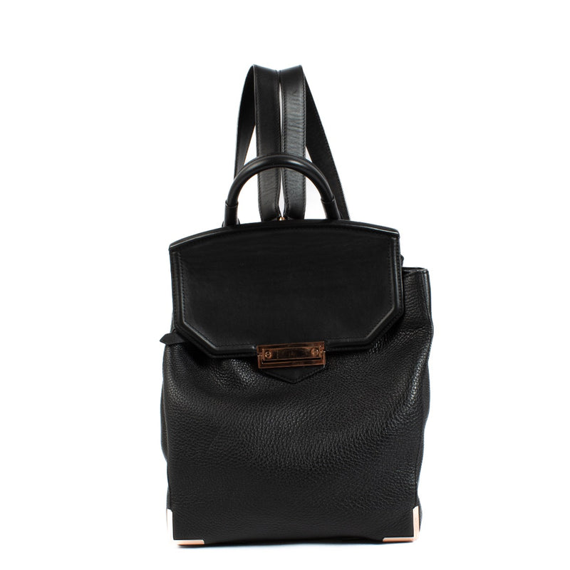 Authentic second hand Alexander Wang Black Prisma Skeletal backpack