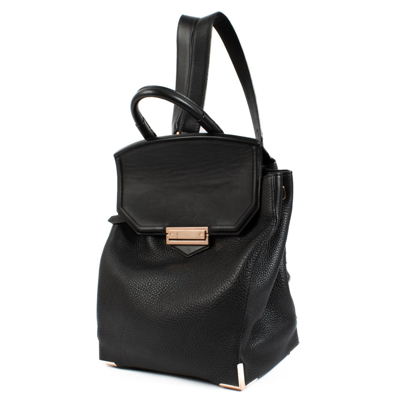 Authentic second hand Alexander Wang Black Prisma Skeletal backpack