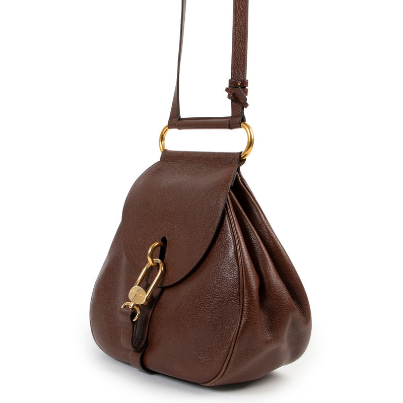 Buy a 100% authentic second hand Delvaux Brown Cerceau Bag at Labellov