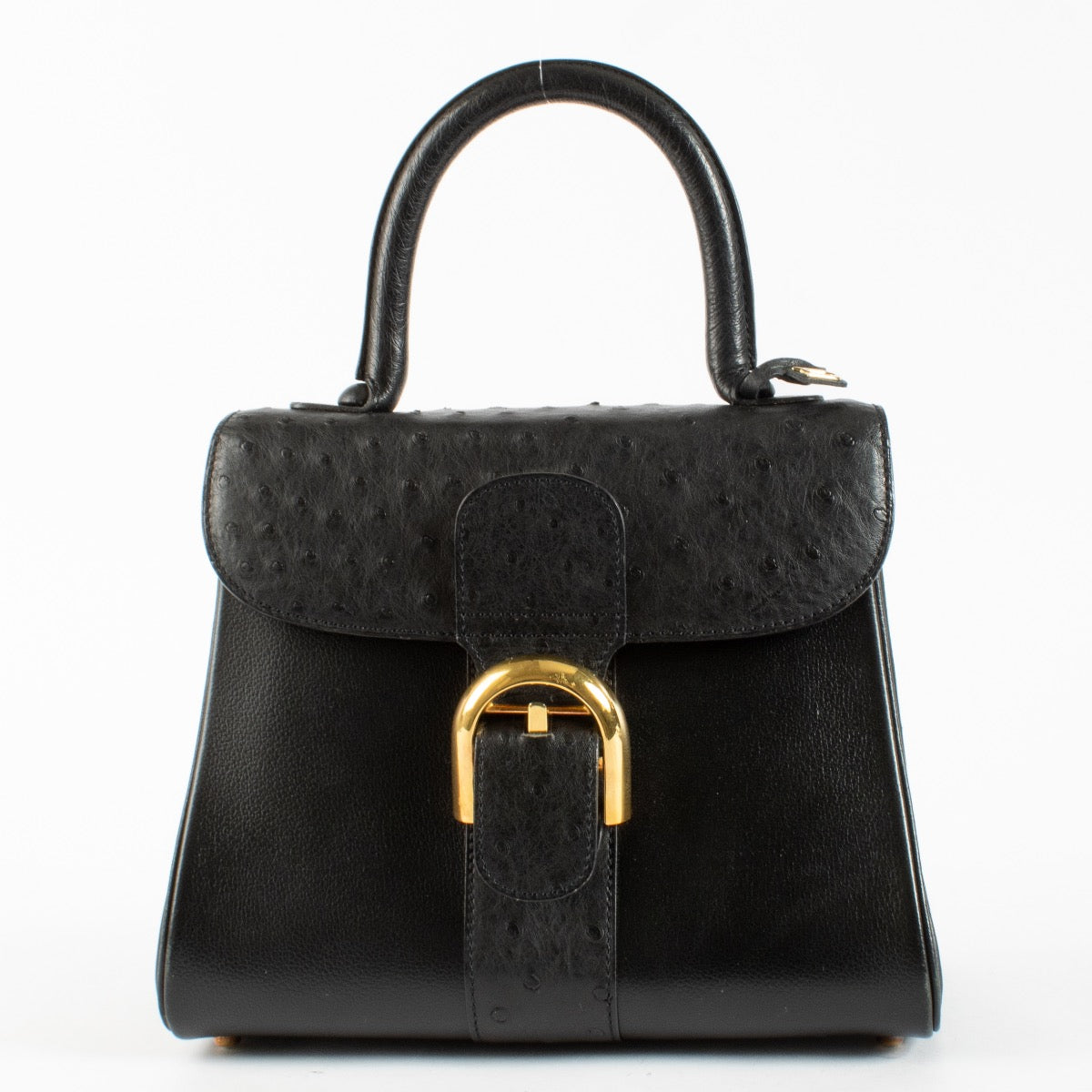 Authentic pre-loved Delvaux Black Ostrich Brillant PM on Labellov.com