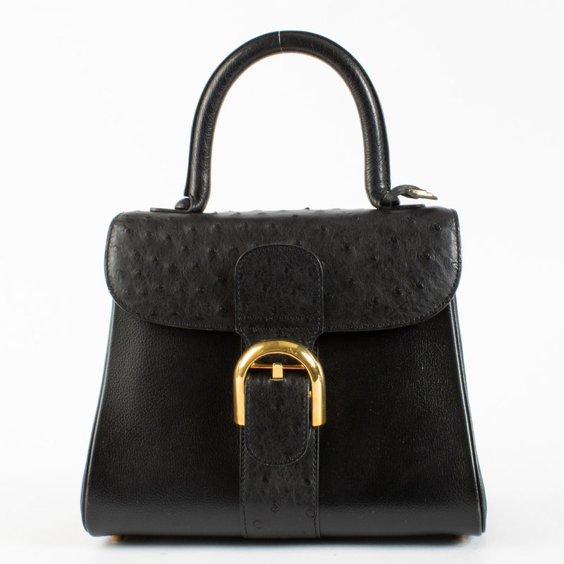 Authentic pre-loved Delvaux Black Ostrich Brillant PM on Labellov.com