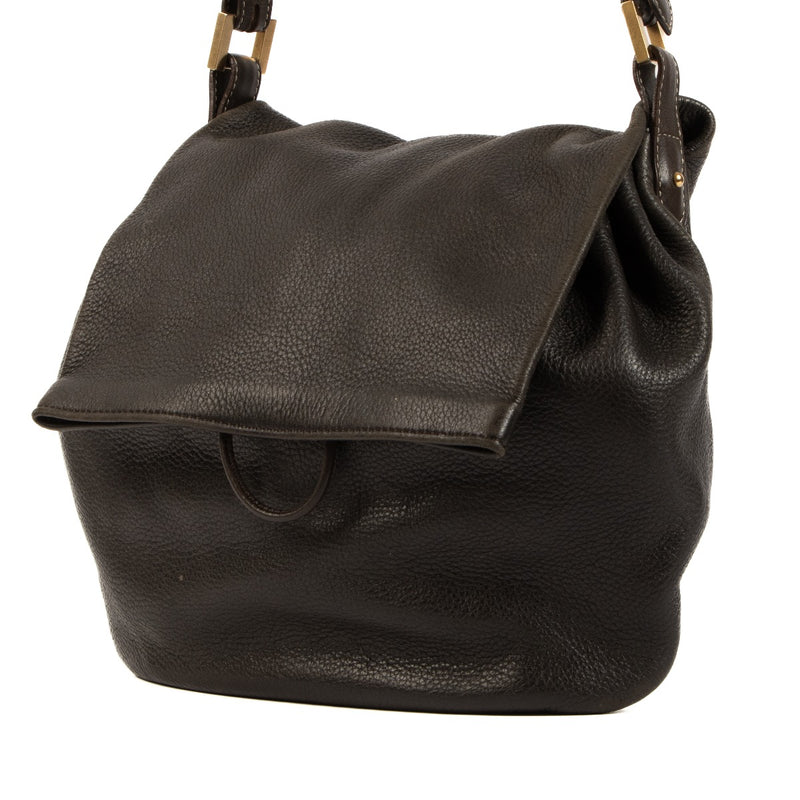 Delvaux Café Cerf Le Leon PM Shoulder Bag