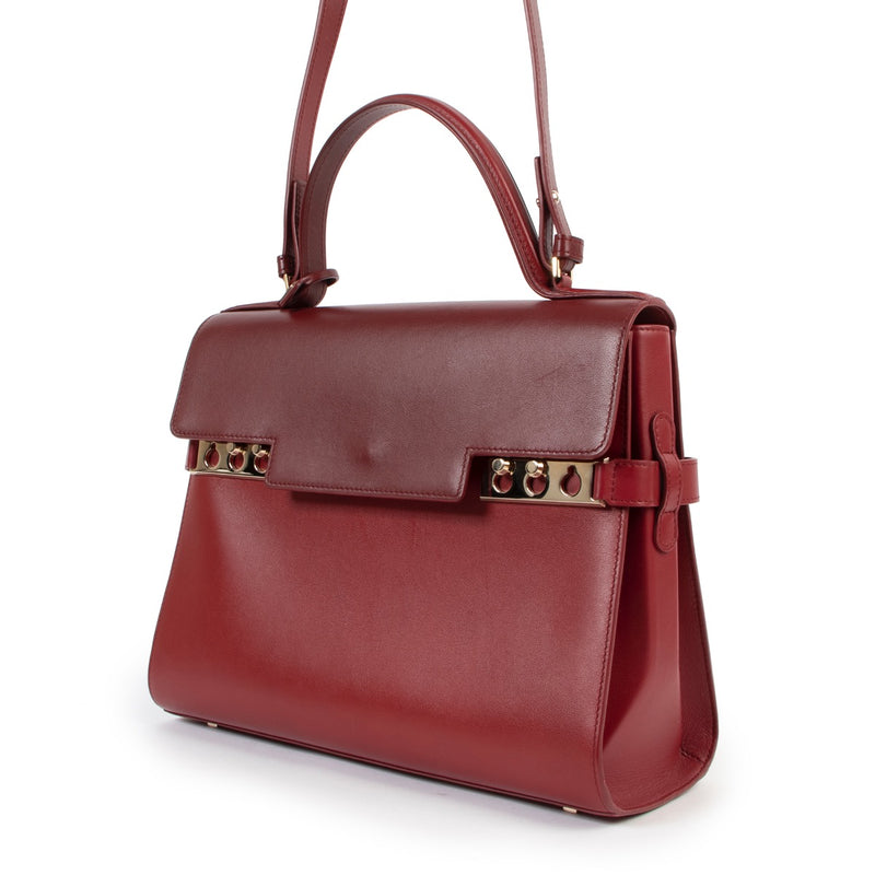 Shop second hand luxury designer vintage Delvaux Autumn/Winter 2016 Tempête GM Camaïeux Rouge de Pourpre Limited Edition at Labellov.