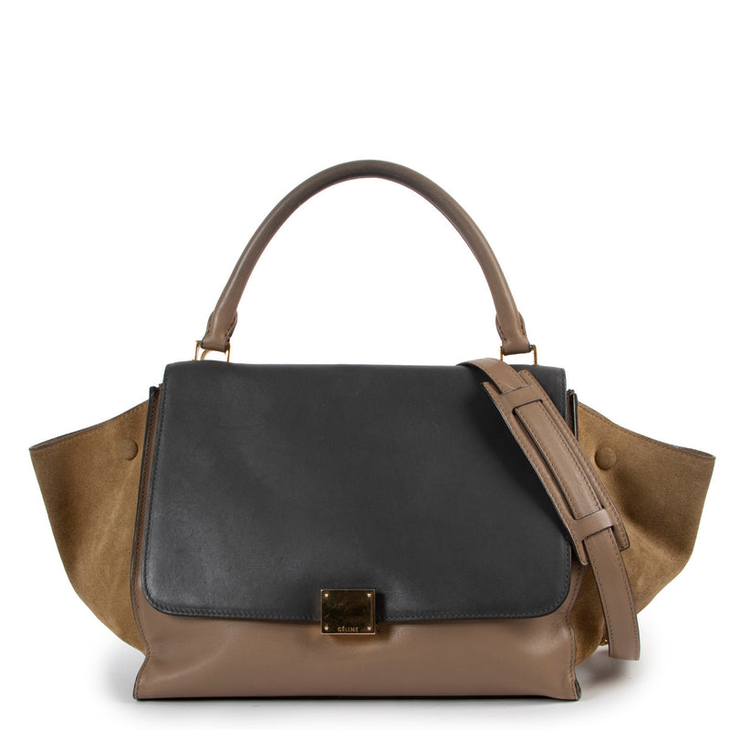 Celine Grey and Beige Trapeze Top Handle