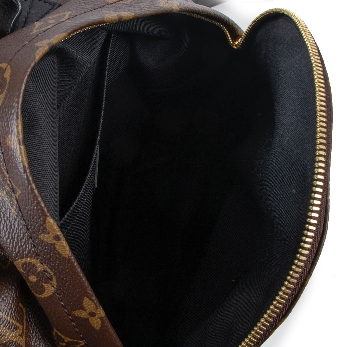 Louis Vuitton Monogram Palm Springs Rugzak PM
