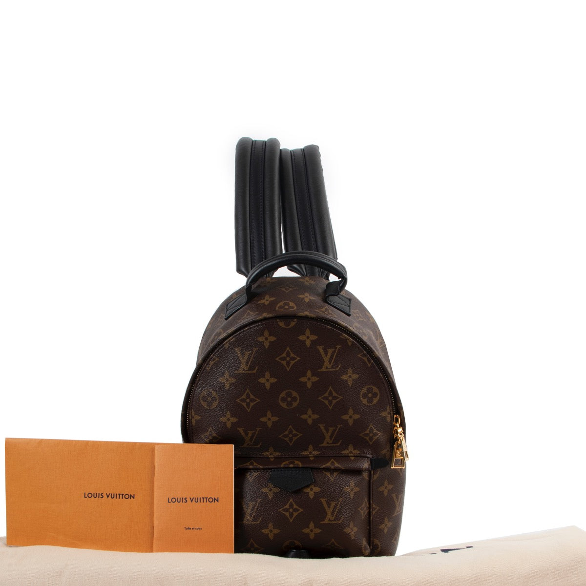 Louis Vuitton Monogram Palm Springs Rugzak PM