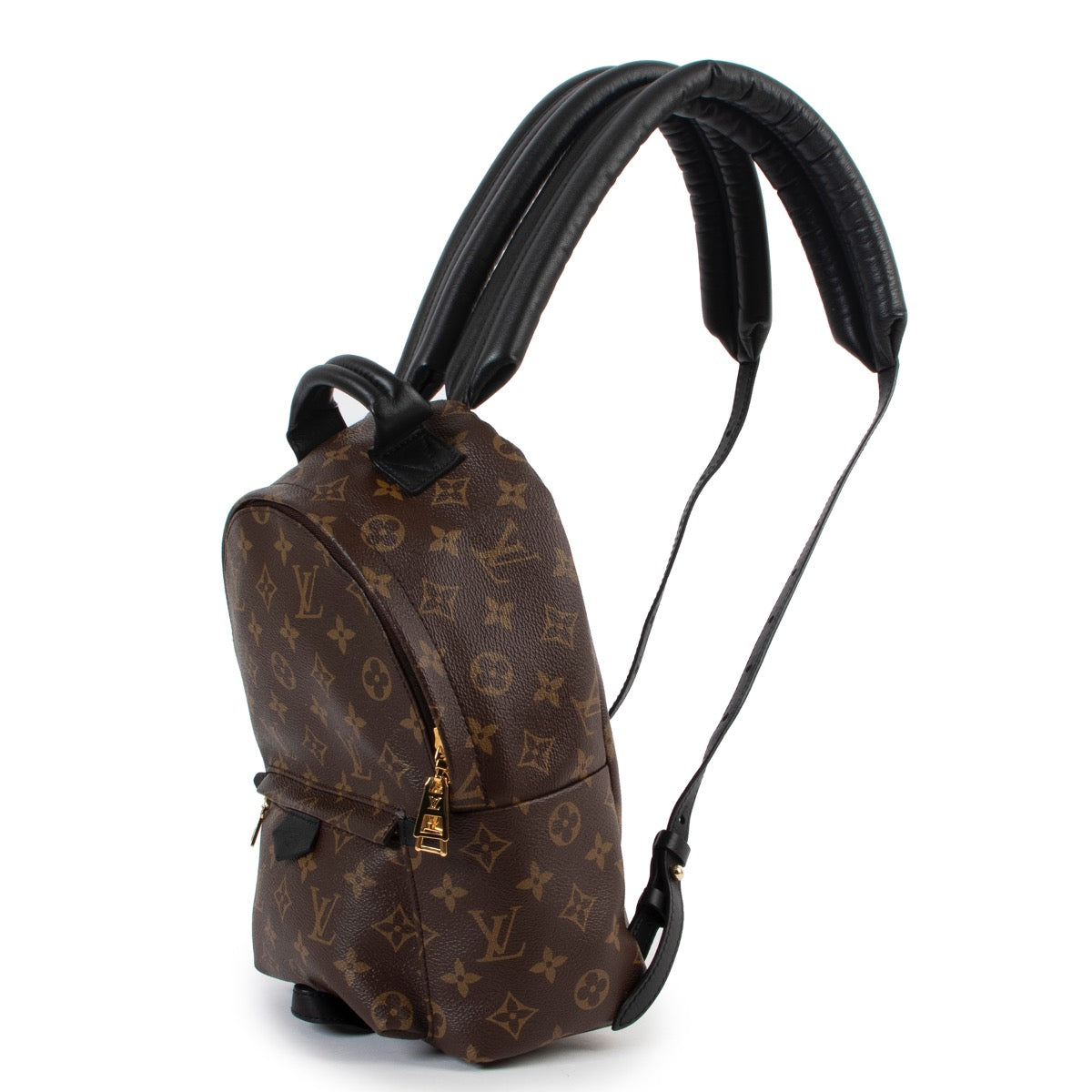 Louis Vuitton Monogram Palm Springs Rugzak PM