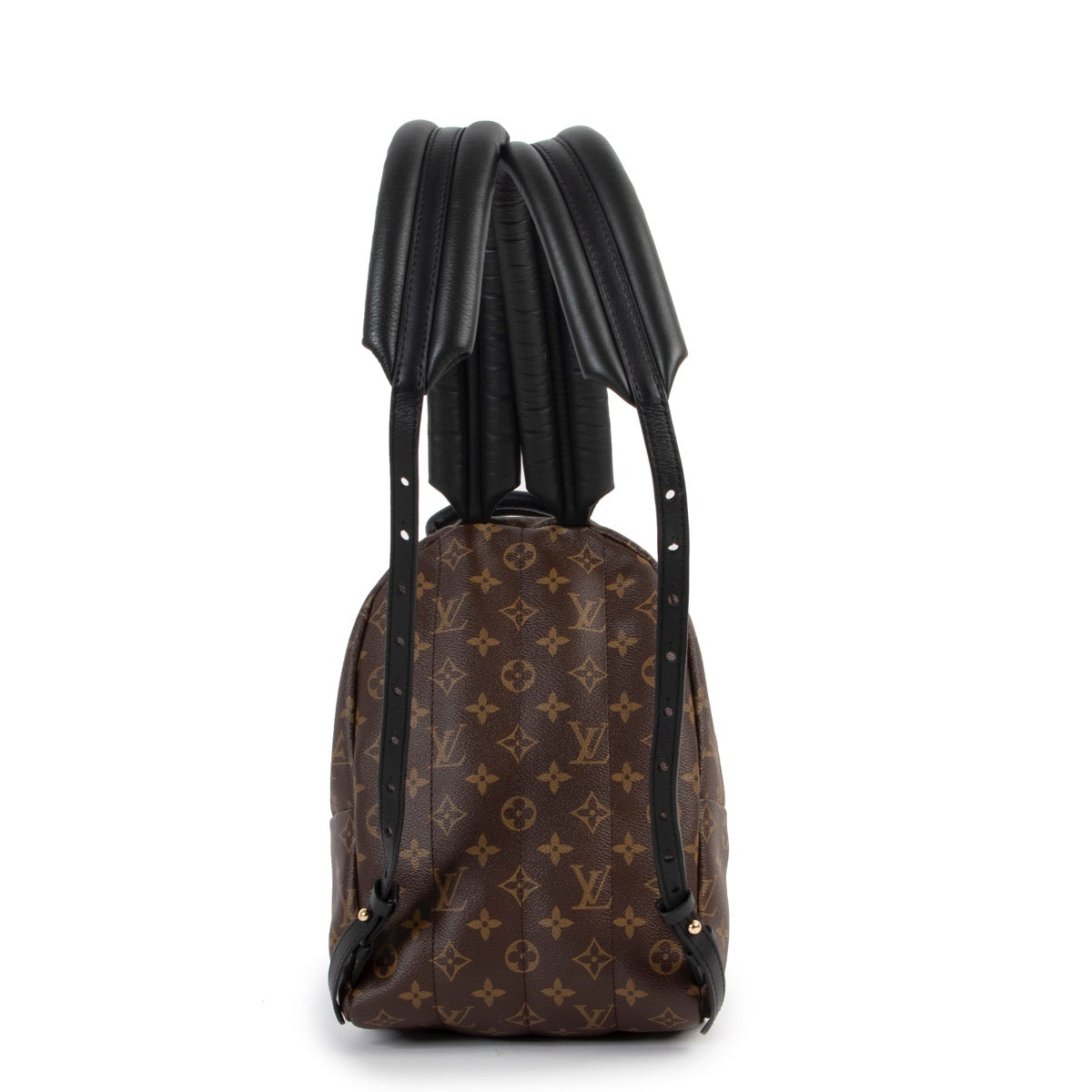 Louis Vuitton Monogram Palm Springs Rugzak PM