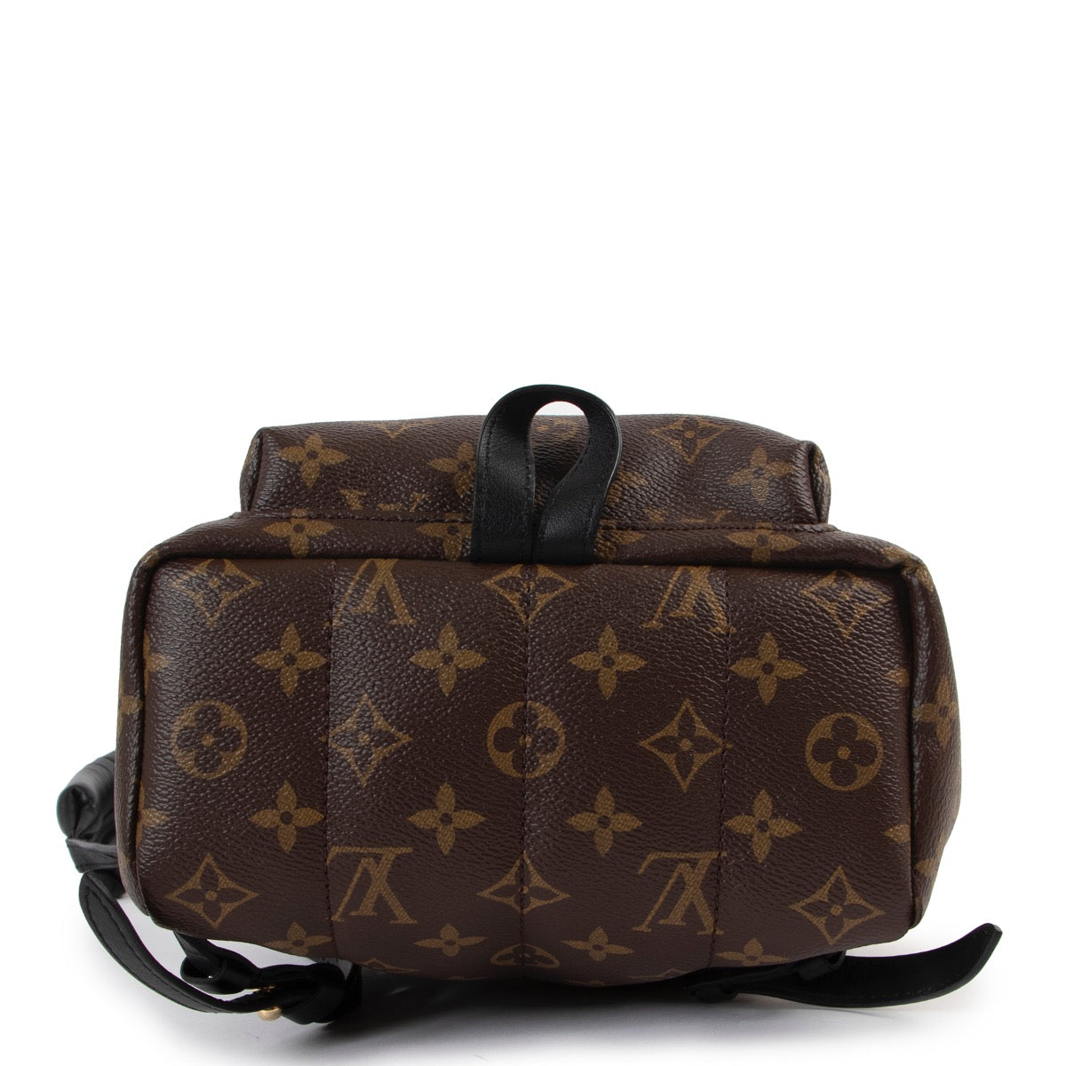 Louis Vuitton Monogram Palm Springs Rugzak PM