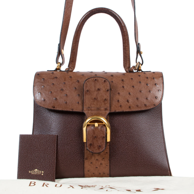 Delvaux Chestnut Brown Ostrich Brillant MM + Strap