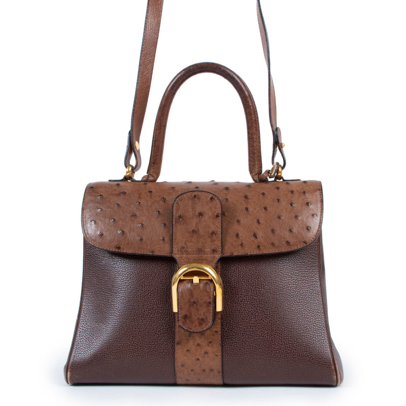 Delvaux Chestnut Brown Ostrich Brillant MM + Strap for the best price at Labellov