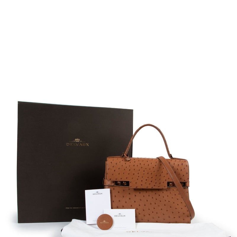 Delvaux Vegetal Brown Tempete GM Ostrich Handbag