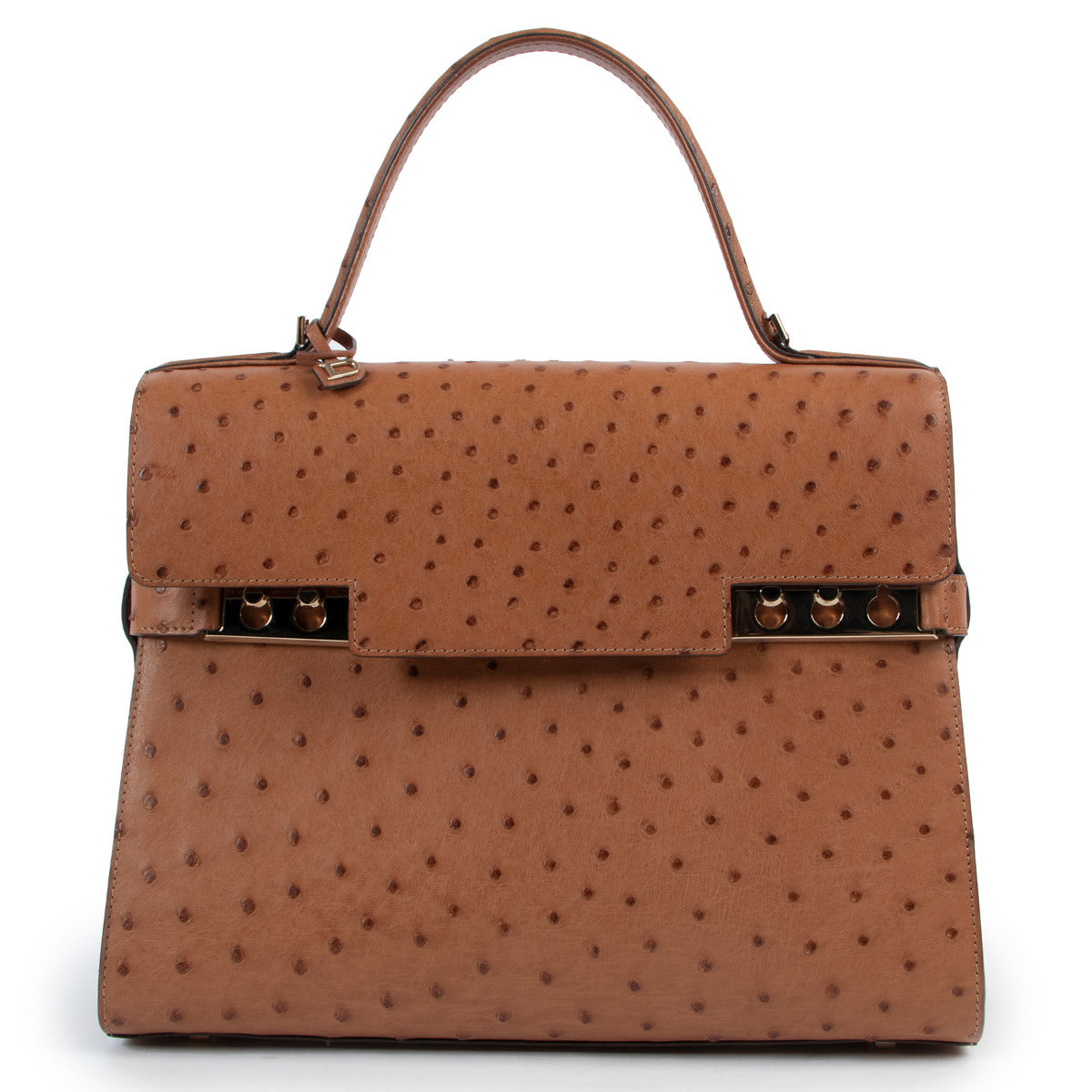 Delvaux Ostrich Tempete Top Handle