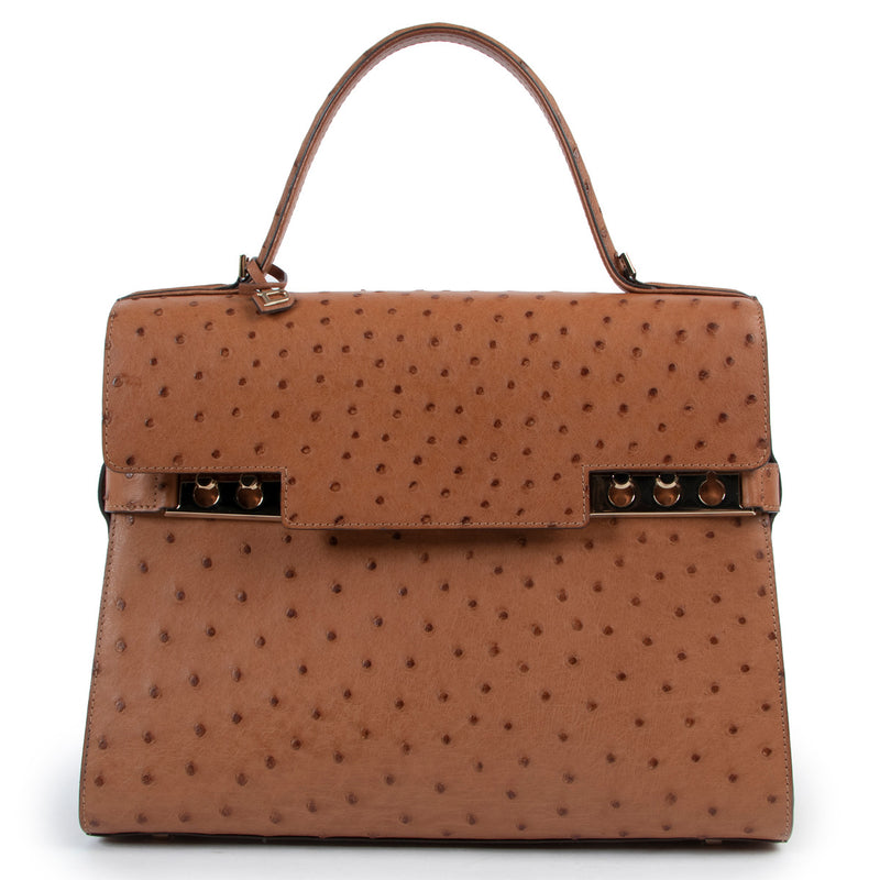 Delvaux Ostrich Tempete Top Handle