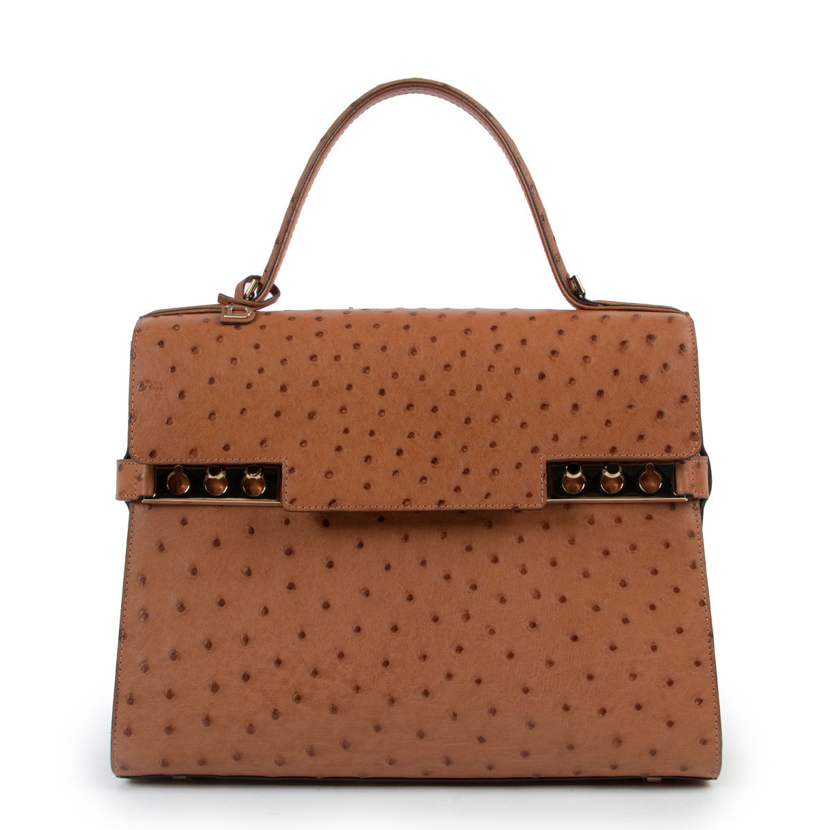 Delvaux Vegetal Brown Tempete GM Ostrich Handbag