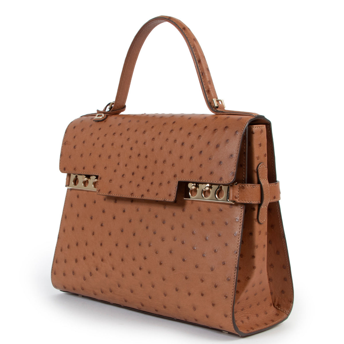 Delvaux Vegetal Brown Tempete GM Ostrich Handbag