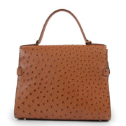 Delvaux Vegetal Brown Tempete GM Ostrich Handbag