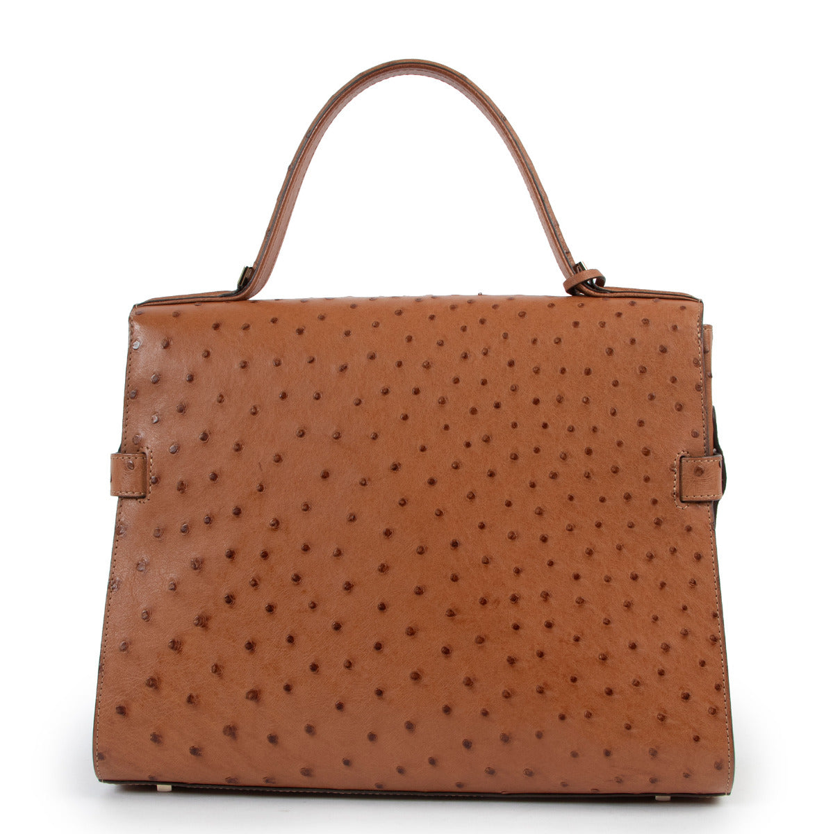 Delvaux Vegetal Brown Tempete GM Ostrich Handbag