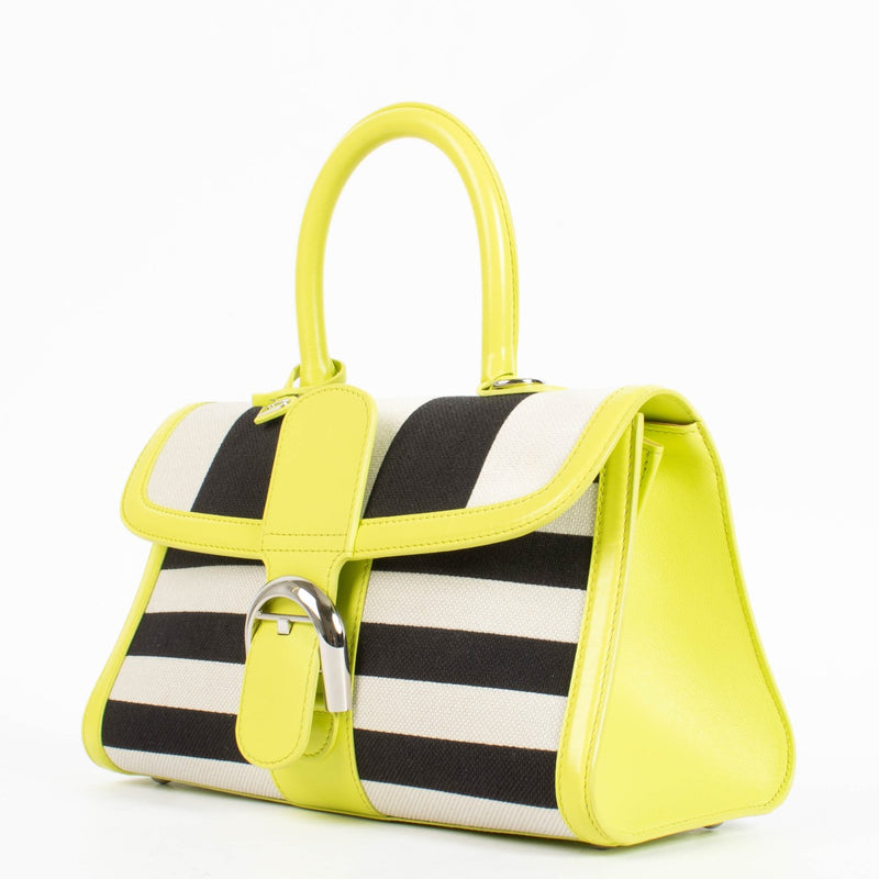 Authentic pre-loved Delvaux Absinthe Box Calf/Canvas Brillant East West Mini on Labellov.com