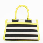 Authentic pre-loved Delvaux Absinthe Box Calf/Canvas Brillant East West Mini on Labellov.com