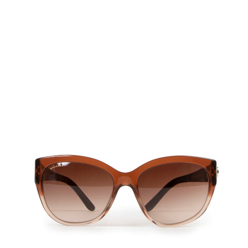 Bulgari Brown 8121 H Sunglasses