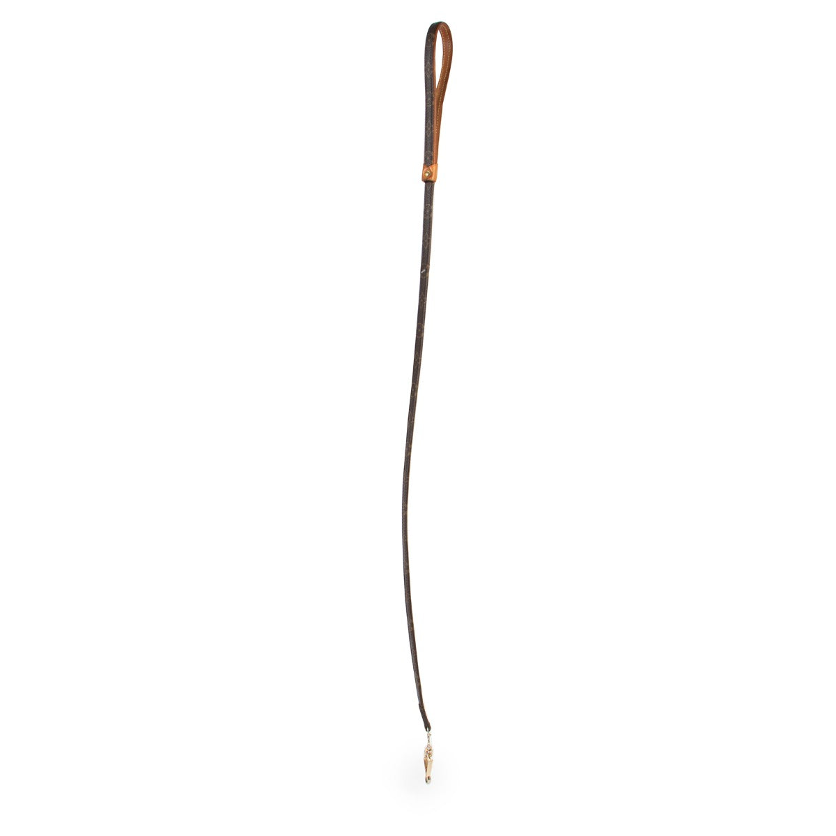 Louis Vuitton Baxter Dog Leash MM