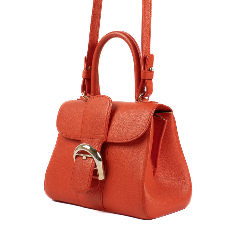Delvaux Piment Sellier Brillant Mini Bag