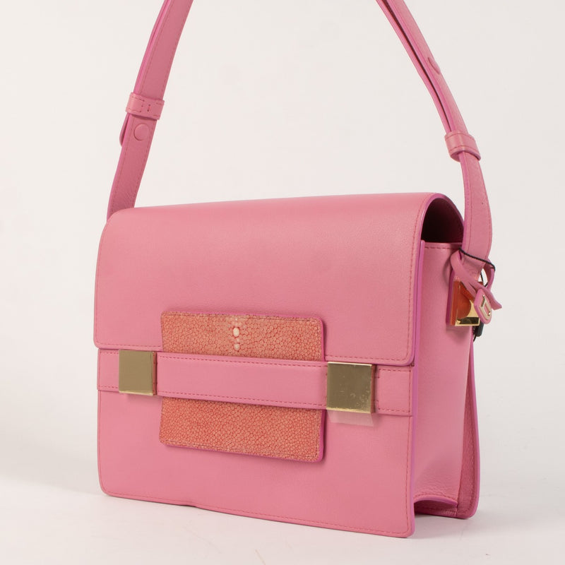 *niet online* Delvaux Flamingo Leather Galuchat Madame Crossbody Bag