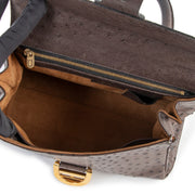 Delvaux Brillant MM Ostrich Palissandre