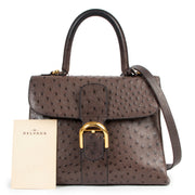 Delvaux Brillant MM Ostrich Palissandre