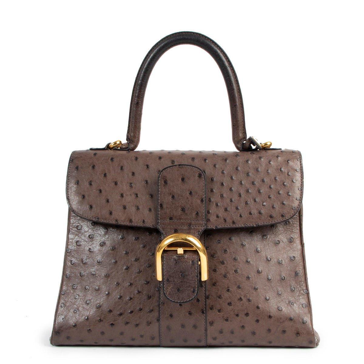 Delvaux Brillant MM Ostrich Palissandre