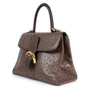Delvaux Brillant MM Ostrich Palissandre