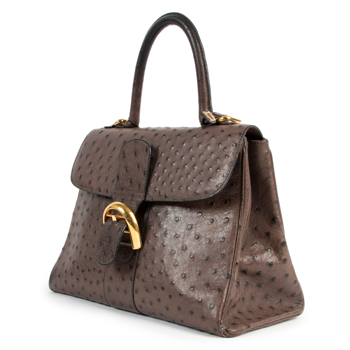 Delvaux Brillant MM Ostrich Palissandre