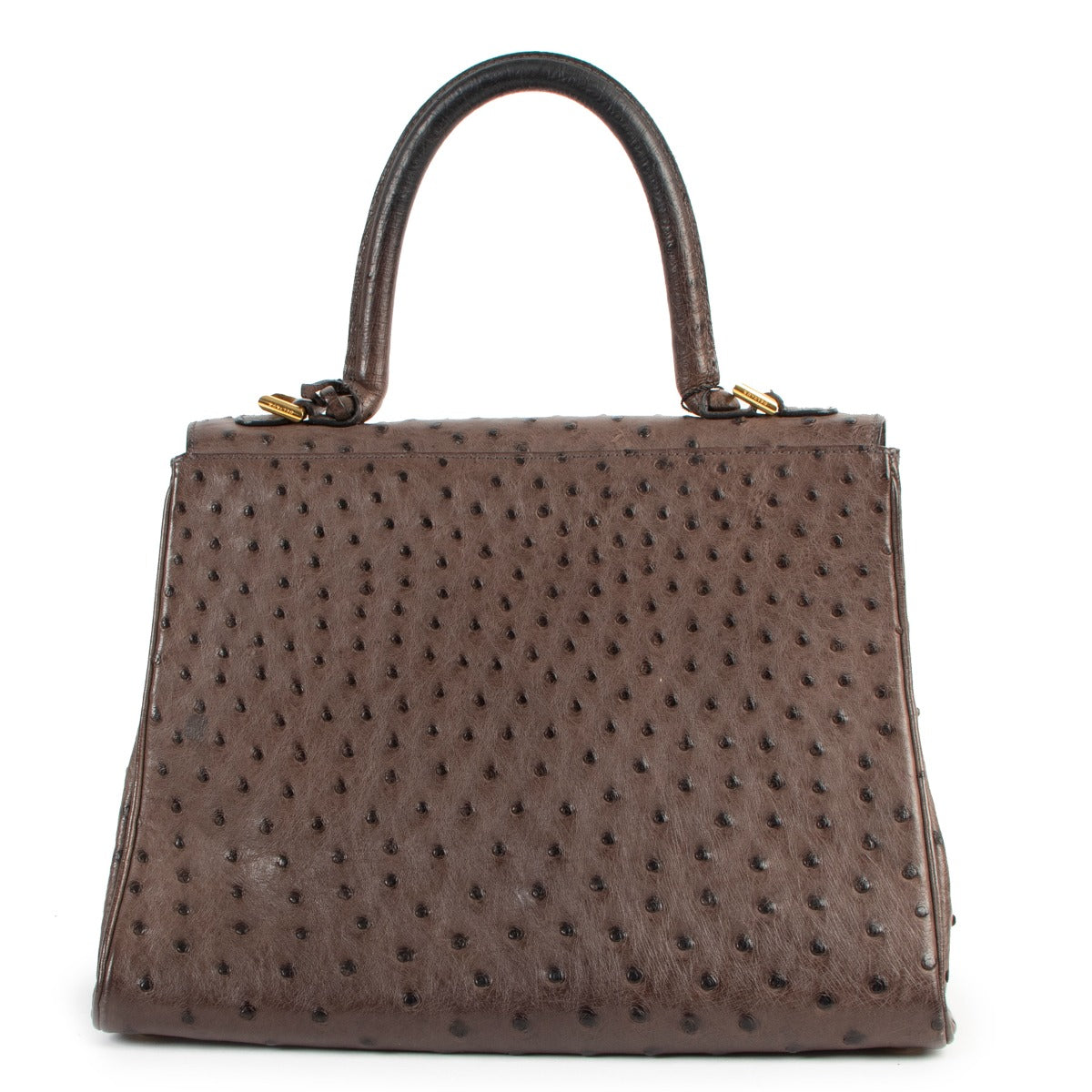 Delvaux Brillant MM Ostrich Palissandre