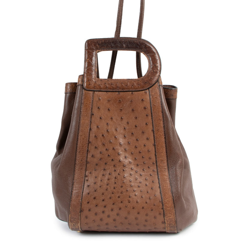 Delvaux Punch Brown Ostrich D Handle Bag