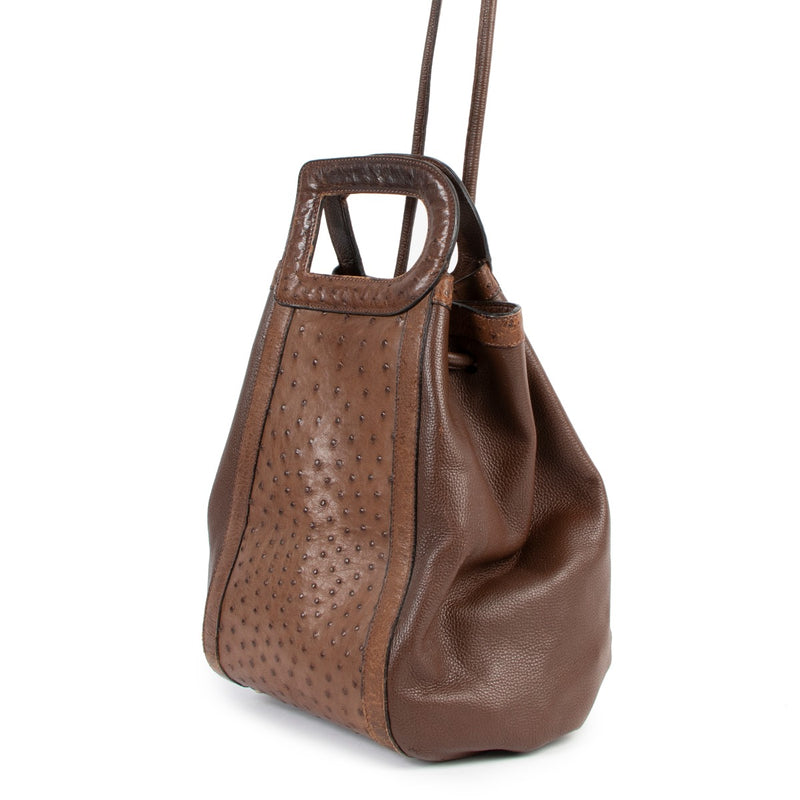 Delvaux Punch Brown Ostrich D Handle Bag