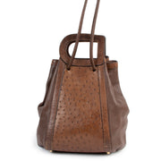 Delvaux Punch Brown Ostrich D Handle Bag