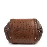 Delvaux Punch Brown Ostrich D Handle Bag