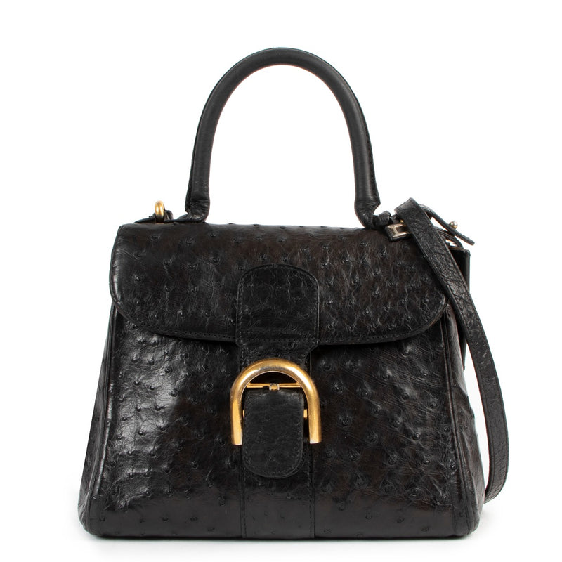 delvaux brillant autruche