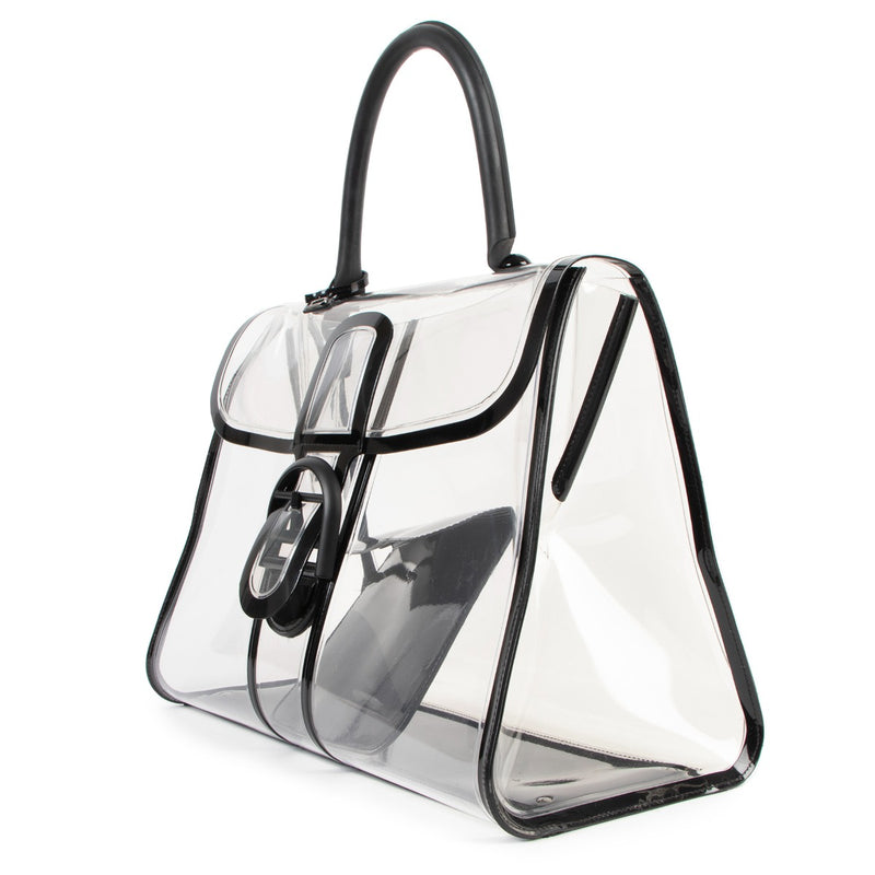 Delvaux Brillant X-Ray Limited Edition