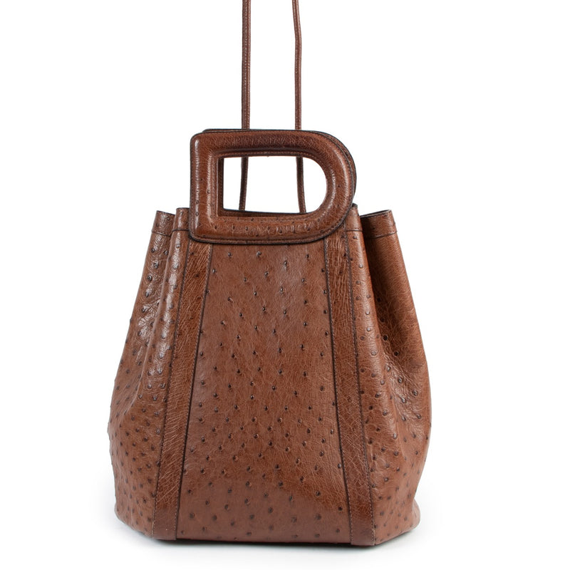 Delvaux Punch Tabac Brown Ostrich Top Handle Bag