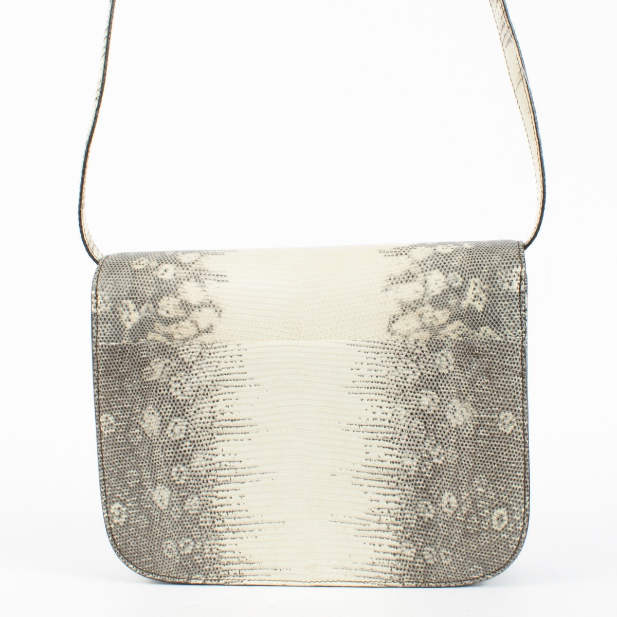 Authentic Second Hand Céline Grey Lézard Classic Crossbody Bag on Labellov.com