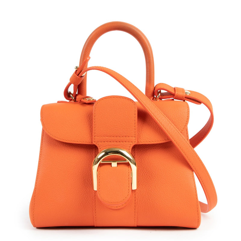 Delvaux Brillant Mini Paprika Rodéo Calf Shoulder Bag