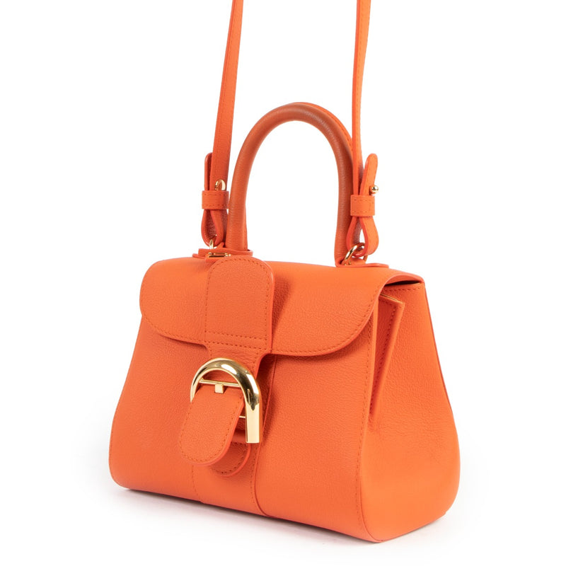 Delvaux Brillant Mini Paprika Orange Rodéo Calf Shoulder Bag